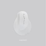 Rexus Mouse Vertical Wireless Clif - White