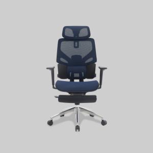 Rexus Ergonomic Chair Daxa ZEN EC3 / DX-EC3 - Blue